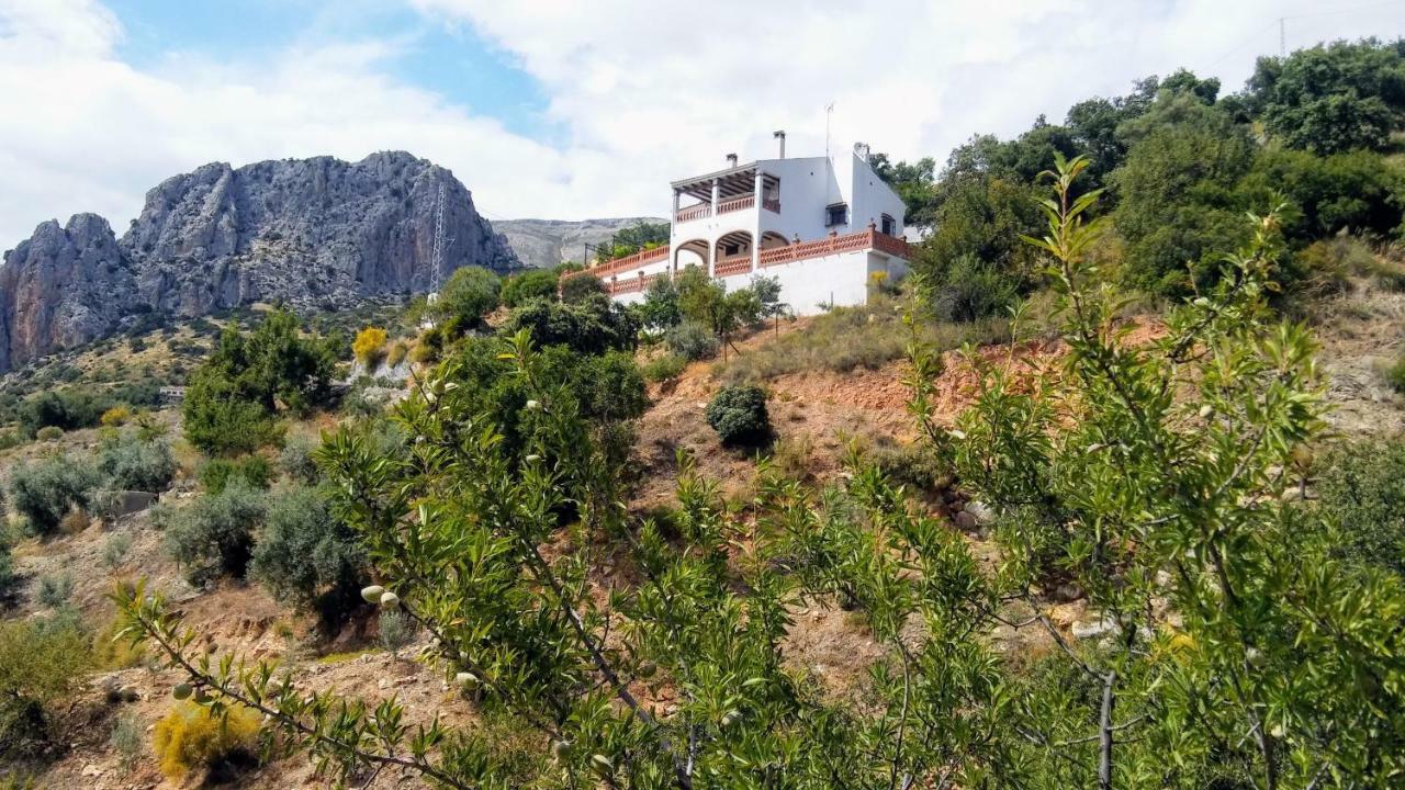 Casa Encina - Encinasola Turismo Rural. Álora Kültér fotó