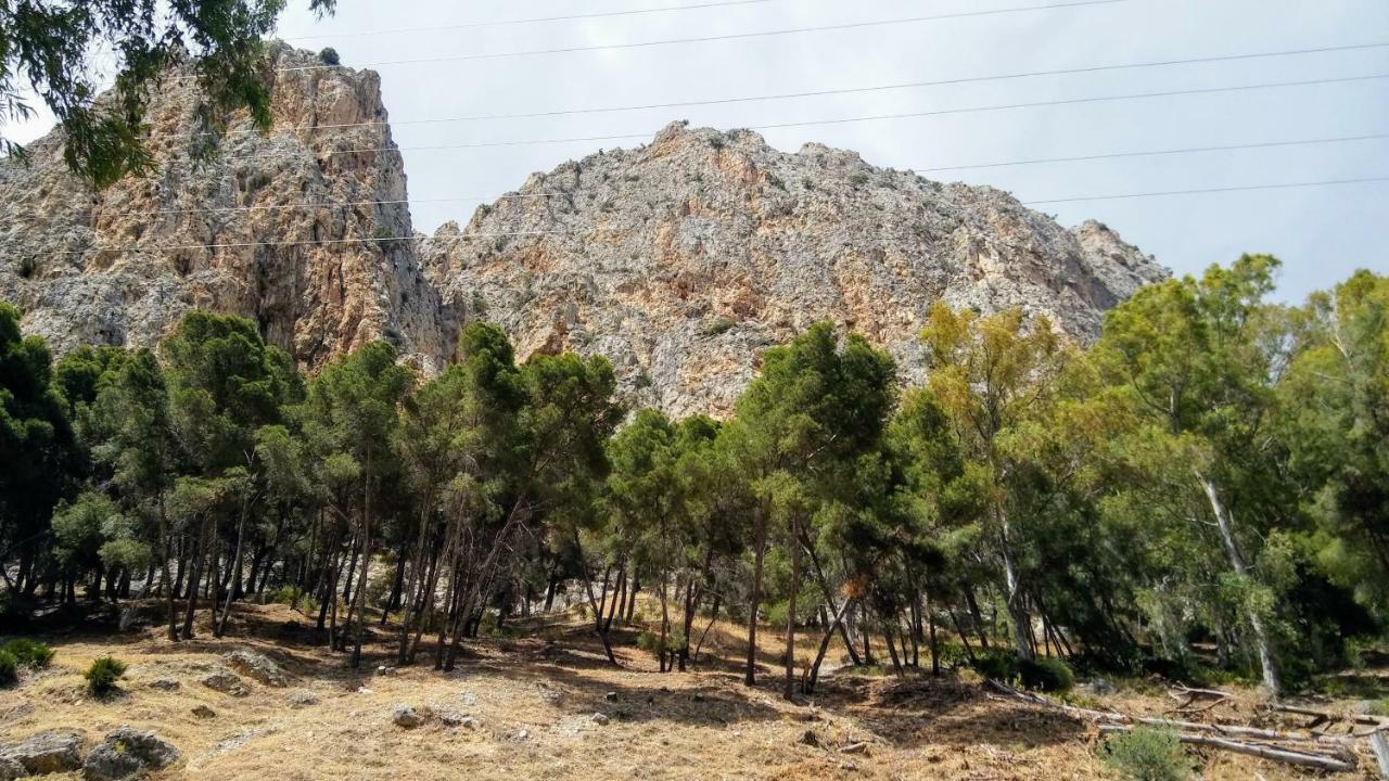 Casa Encina - Encinasola Turismo Rural. Álora Kültér fotó