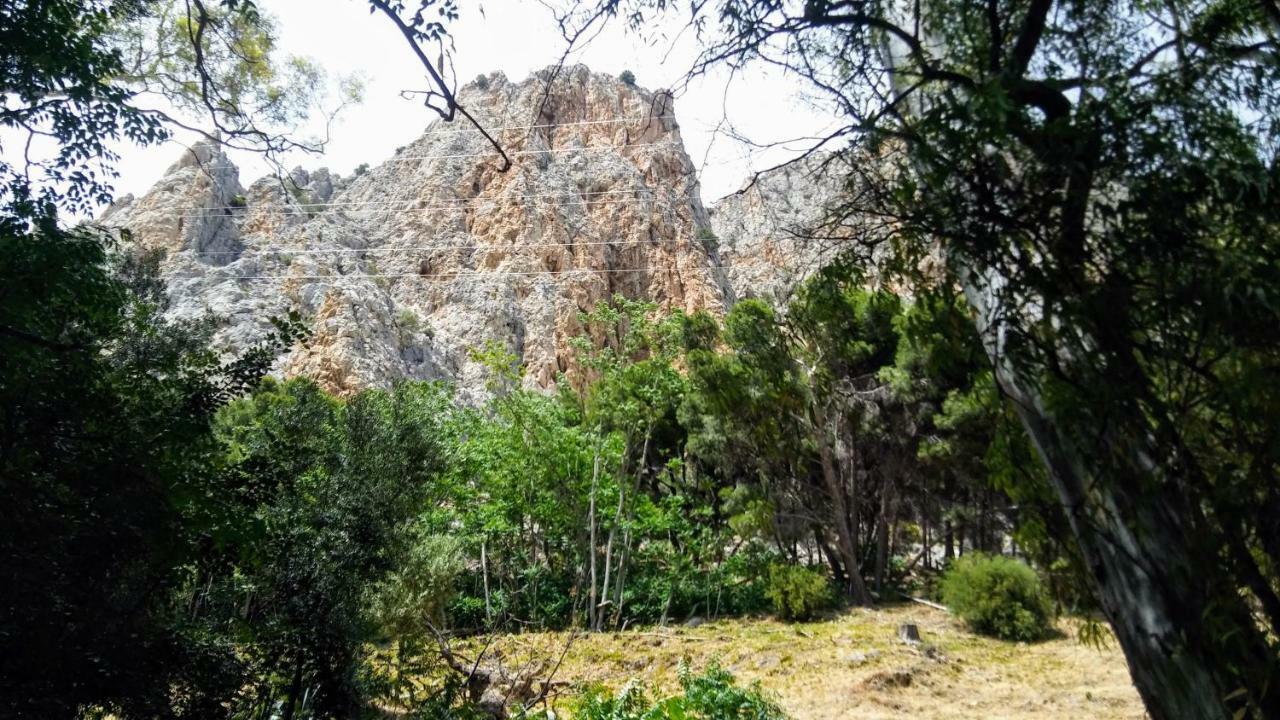 Casa Encina - Encinasola Turismo Rural. Álora Kültér fotó